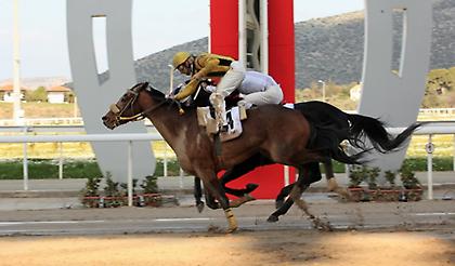 Πρωτομηνιά με εξαιρετικό Ελληνικό πρόγραμμα στο Μαρκόπουλο