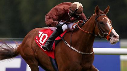 Με 34 διαδρομές και με σχεδόν όλα τα είδη ιπποδρομιών το πρόγραμμα της Δευτέρας