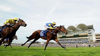 Υψηλές αποδόσεις αναμένονται για τους νικητές των αλλοδαπών ιπποδρομιών