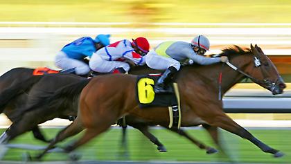 Την μερίδα του λέοντος έχει η Νότιος Αφρική στο ιπποδρομιακό πρόγραμμα της Παρασκευής