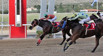 Έξι κούρσες με δυνατές «μάχες» στην τελευταία ιπποδρομιακή συγκέντρωση της χρονιάς