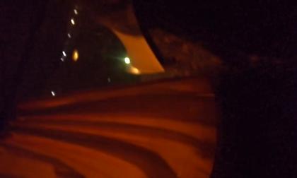 Η επίθεση των Ουκρανών με πέτρες στο πούλμαν των οπαδών της ΑΕΚ (video)