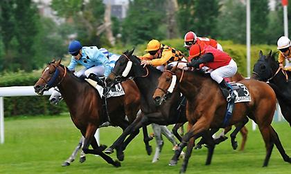 Η Γαλλία σήμερα έχει την μερίδα του λέοντος στο πρόγραμμα αλλά και στο στοίχημα!