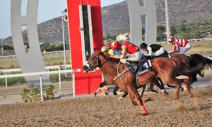 Σήμερα κρίνεται στο Μαρκόπουλο ο πιο γρήγορος ίππος για το 2018!