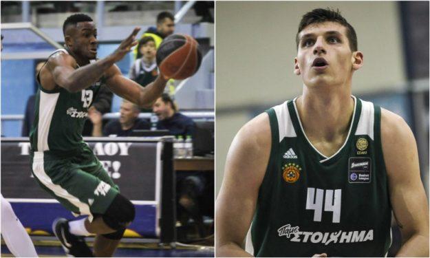 Παναθηναϊκός: Season high Αντετοκούνμπο-Μήτογλου