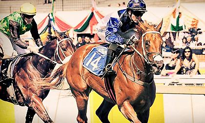 Όλα τα λεφτά είναι στις ιπποδρομίες της Νοτίου Αφρικής σήμερα!