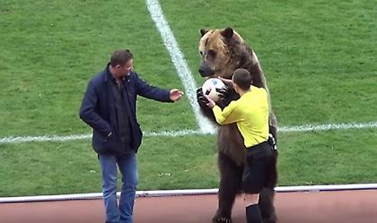 Μια πραγματική αρκούδα οργάνωσε εξέδρα σε ματς στη Ρωσία! (video)