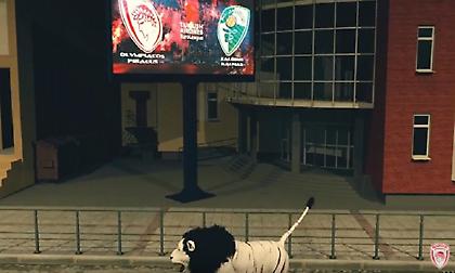 Λιοντάρια στο παρκέ του ΣΕΦ! (video)