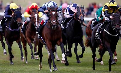 Το φεστιβάλ του YORK με τα πολύ υψηλά χρηματικά έπαθλα, είναι η ατραξιόν της ημέρας!