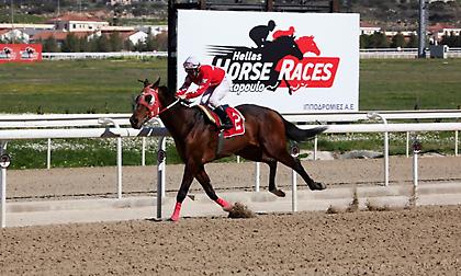 Και οι 8 είναι… υπέροχες και μιλάμε για τις σημερινές Ελληνικές ιπποδρομίες στο Μαρκόπουλο!