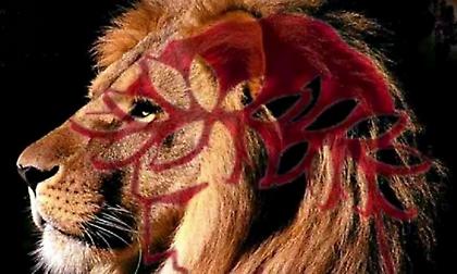 Ολυμπιακός: Τέλος τα ημίμετρα. Πλάνο, όραμα και χαρισματικός προπονητής