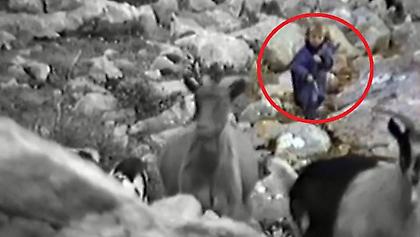 Ο πεντάχρονος Μόντριτς σε ντοκιμαντέρ για λύκους το 1990 (video)