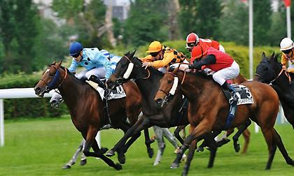 Δύσκολα τα προγνωστικά στην Αγγλία, τα μεγάλα έπαθλα στην Γαλλία!