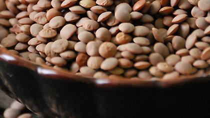 Γιατί οι φακές θεωρούνται το «όσπριο του αθλητή»;