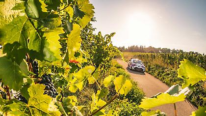 Νικητής ο Τάνακ, κερδισμένος ο Νουβίλ