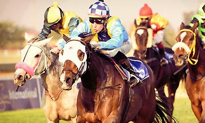 Ίσως και το καλύτερο ξένο ιπποδρομιακό πρόγραμμα της εβδομάδας! 