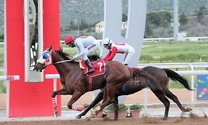 Στις 17:00 σήμερα στο Μαρκόπουλο η επανεκκίνηση των Ελληνικών ιπποδρομιών και με τζακ-ποτ!