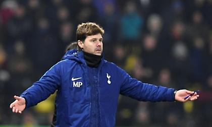 Ποκετίνο: «Το ποδόσφαιρο είναι σαν μία... αγελάδα»