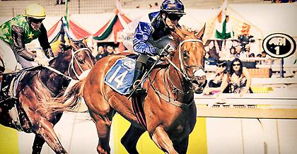 Στα ιπποδρόμια των COMPIEGNE και NEWMARKET το ενδιαφέρον των παικτών!