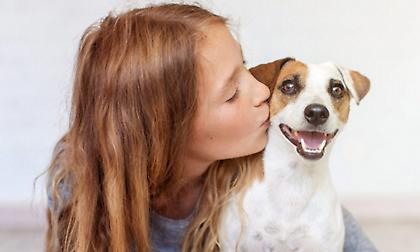 30 χρόνια PETCITY, 30 χρόνια τα ΠΑΝΤΑ για τους πιστούς μας φίλους