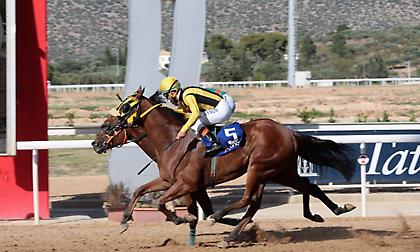 Ελλάς – Γαλλία… συμμαχία σήμερα στο Μαρκόπουλο!