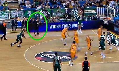 Ο Τσάβι Πασκουάλ «οργανώνει» το play του Παναθηναϊκού και πανηγυρίζει πριν μπει καλάθι!