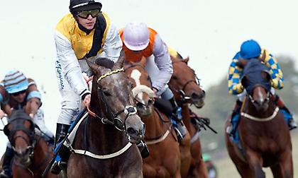 Η Γαλλία την αίγλη, σε Ν. Αφρική & Αγγλία τα λεφτά! Εσείς διαλέγετε…!