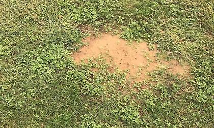 Θυμίζει… χωράφι το «Παμπελοποννησιακό»! (pics)