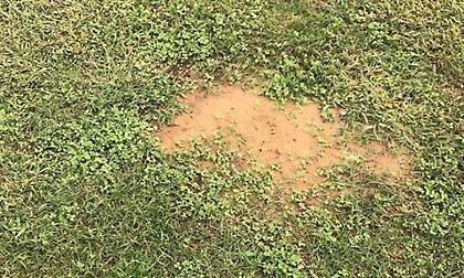 Μέχρι το... Μουντιάλ, ας σπάνε τα πόδια τους!