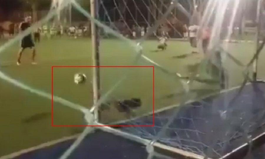 Σκύλος μπήκε σε γήπεδο και απέκρουσε πέναλτι