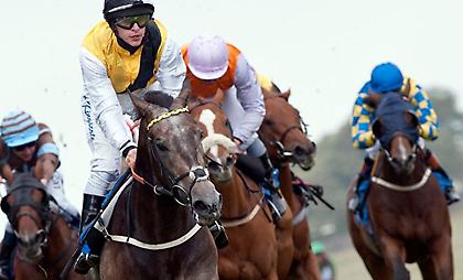 Πολλά τα είδη των διαδρομών στην πρώτη Δευτέρα του Δεκέμβρη στις ξένες ιπποδρομίες!