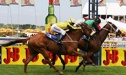 Μεγάλη γιορτή σήμερα, μεγάλο και το πρόγραμμα, μεγάλα αναμένονται και τα κέρδη για τους παίκτες!