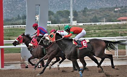 Πολύ δυνατό πρόγραμμα 7 ιπποδρομιών στο Μαρκόπουλο και η λέξη τζακ-ποτ μπορεί να παίξει αρκετά!