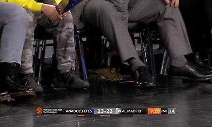 Μία… γάτα παρακολουθεί το Εφές-Ρεάλ! (video)