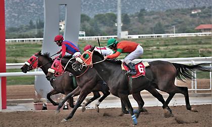 Όποιος στοιχηματίσει σωστά στο Ελληνικό πρόγραμμα σήμερα, θα κάνει… καλά Χριστούγεννα!