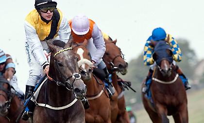 Τα φώτα της ημέρας επάνω στην Ν. Αφρική και τον ιππόδρομο του KENILWORTH!