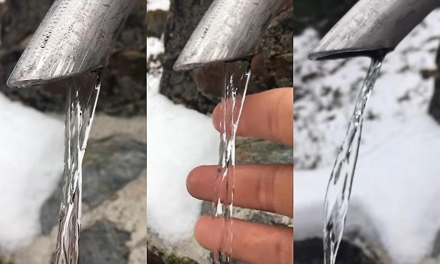 Όταν η φύση μας ξεγελάει: Η νέα οφθαλμαπάτη που έχει τρελάνει το διαδίκτυο