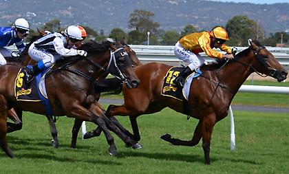 Οι πιο δύσκολες πίστες στις σημερινές ιπποδρομίες είναι στην Αγγλία και την Ν. Αφρική!