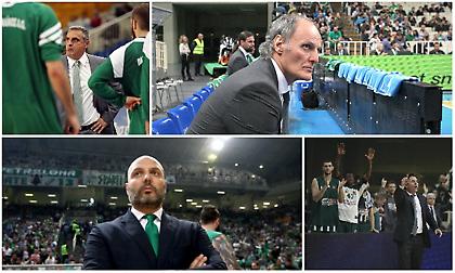 Παναθηναϊκός: Πέμπτη απόλυση προπονητή στη “μετά Ομπράντοβιτς” εποχή!