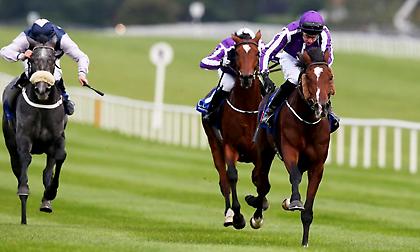 Λέμε «αντίο ιπποδρομιακό» στο 2018 με δυνατά προγράμματα σε Αγγλία & Ν. Αφρική!