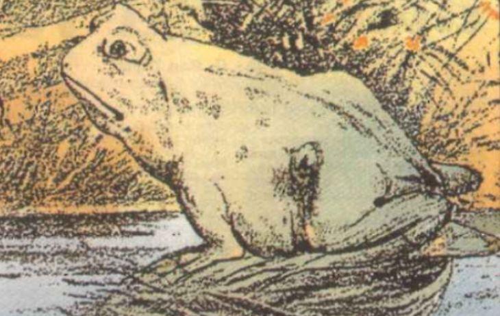 Η οφθαλμαπάτη που θα σας πάρει το μυαλό! (pics)