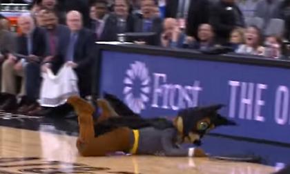 Ξανά νυχτερίδες στην έδρα των Σπερς, η μασκότ έπιασε μία με απόχη!