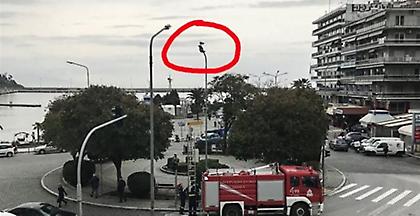 Περιστέρι γλίτωσε από του γλάρου τα… «δόντια» (pics)