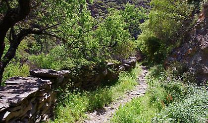 Kea Challenge: Αγώνες ορεινού τρεξίματος στην Κέα