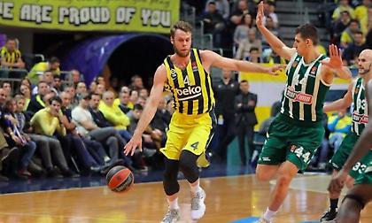 Μέλι: Έκανε τα… ΠΑΝΤΑ στο παρκέ και πλήγωσε το «τριφύλλι»! (video)