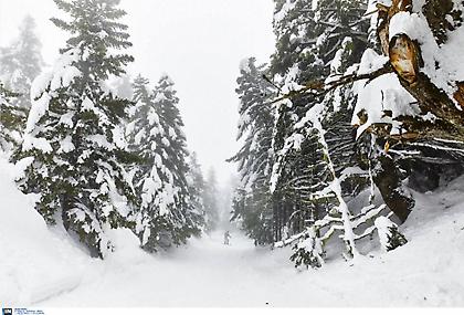 Πρόγνωση καιρού: Έρχεται πολικό ψύχος διαρκείας – Που θα χιονίσει