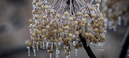 Κακοκαιρία «Χιόνη»: Πτώση της θερμοκρασίας - Βροχές, χιόνια και θυελλώδεις άνεμοι