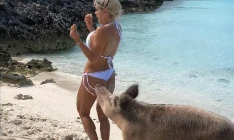 Πανέμορφο μοντέλο έπαιζε με τα… γουρούνια και τη δάγκωσαν (vid)