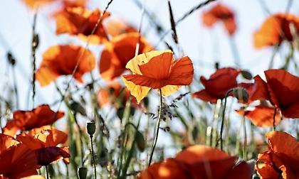 Πρόγνωση καιρού: Ο καιρός από αύριο αλλάζει – Δείτε αναλυτική πρόβλεψη και χάρτες