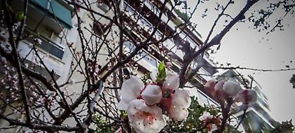 Ερχονται Αλκυονίδες τη Δευτέρα: Ανοδος της θερμοκρασίας με τοπικές νεφώσεις